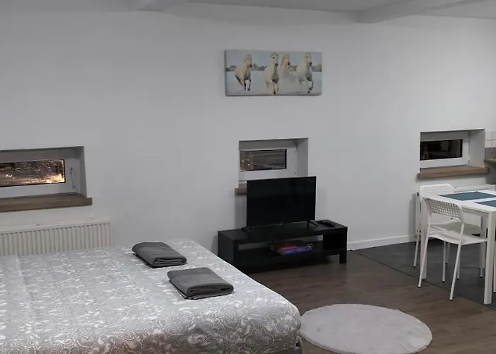 Super Central In Bruselas admite animales