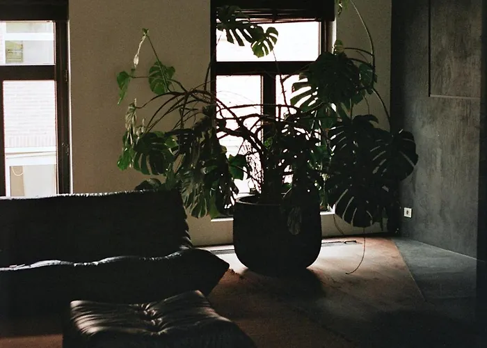 Ferienwohnung Teddy Picker Brüssel