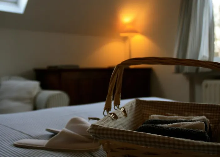 Huisdiervriedelijke B&B Le 36 Auderghem